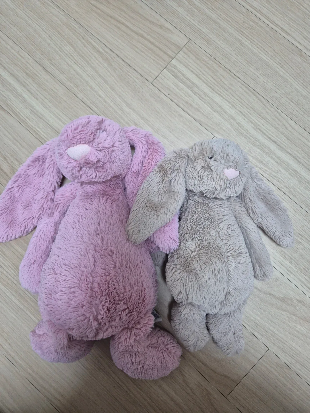 젤리캣 바쉬풀 버니 인형 2개 세트