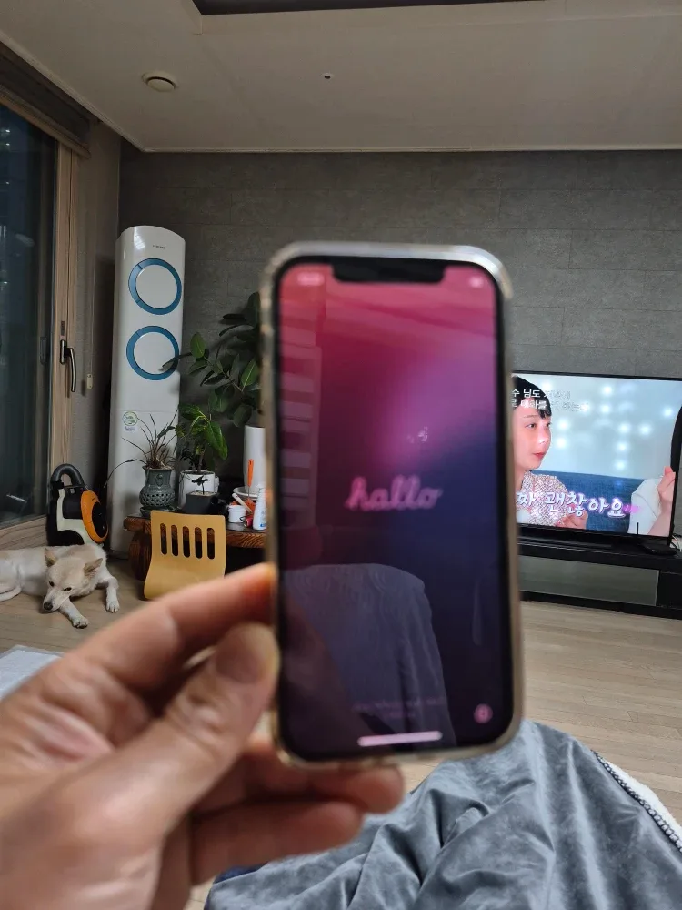 아이폰 12 512GB