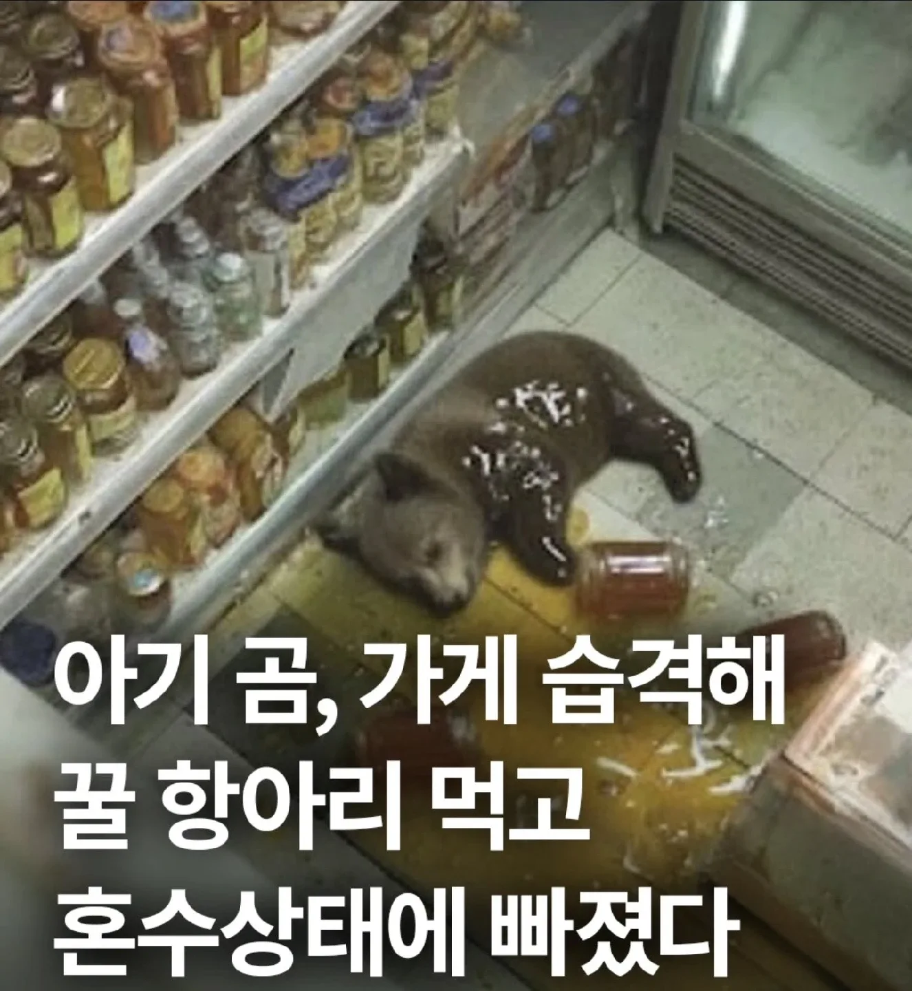롯데백화점 상품권 삽니다