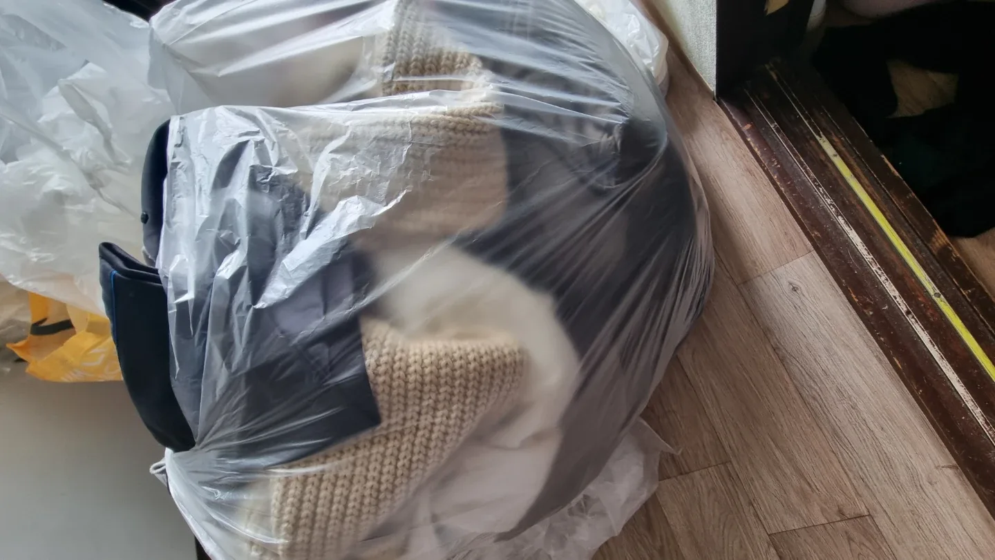 중고 여성 의류