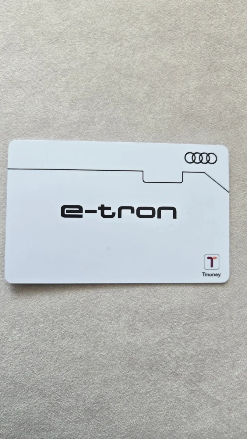 아우디 e-tron 티머니 카드 채비 830000원