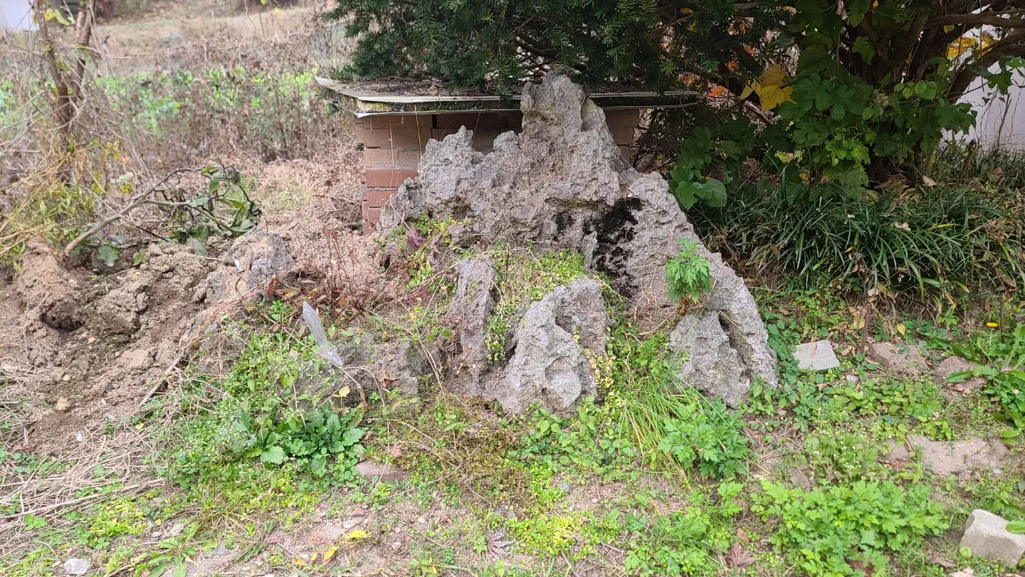 초대형 암석 Stone Garden 화분 석부작 돌 정원용  야외 관상용 가드닝 조경