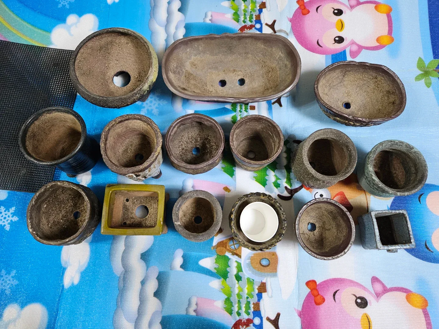 중고 화분 모음