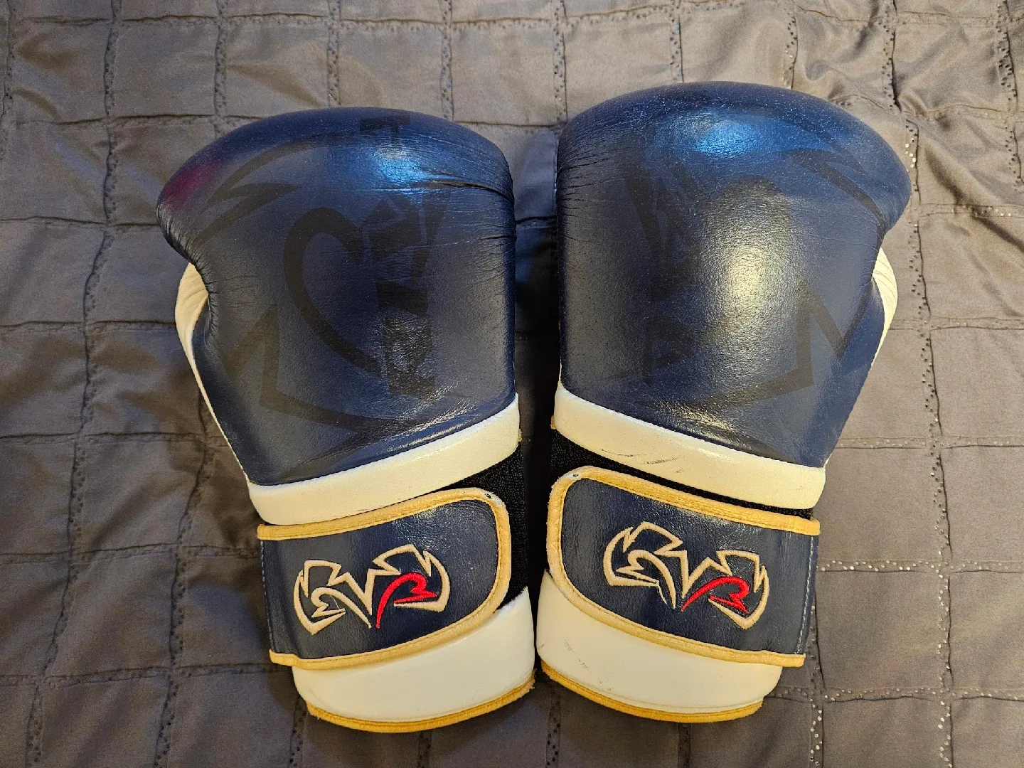 라이벌 rs80v 14온스 복싱 글러브