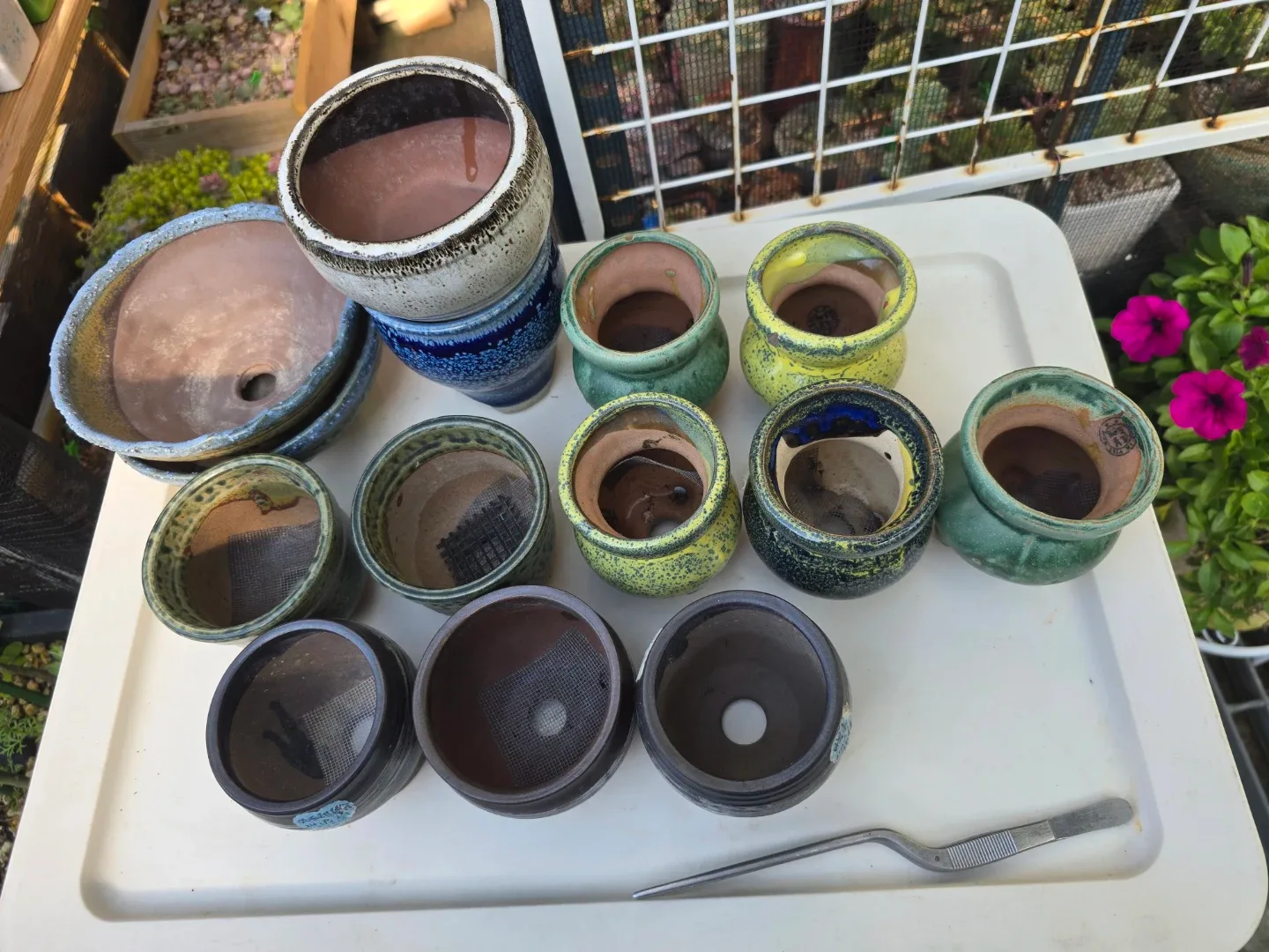 중고 소형 다육이화분