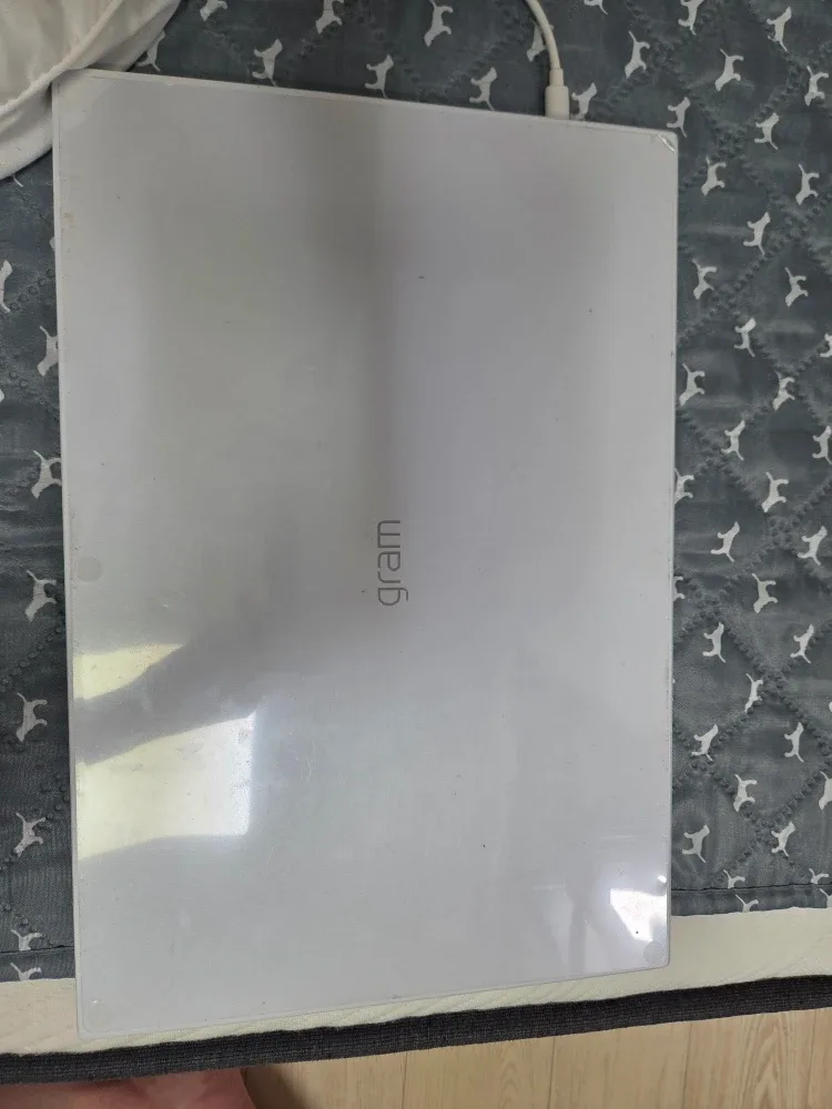 LG Gram 노트북