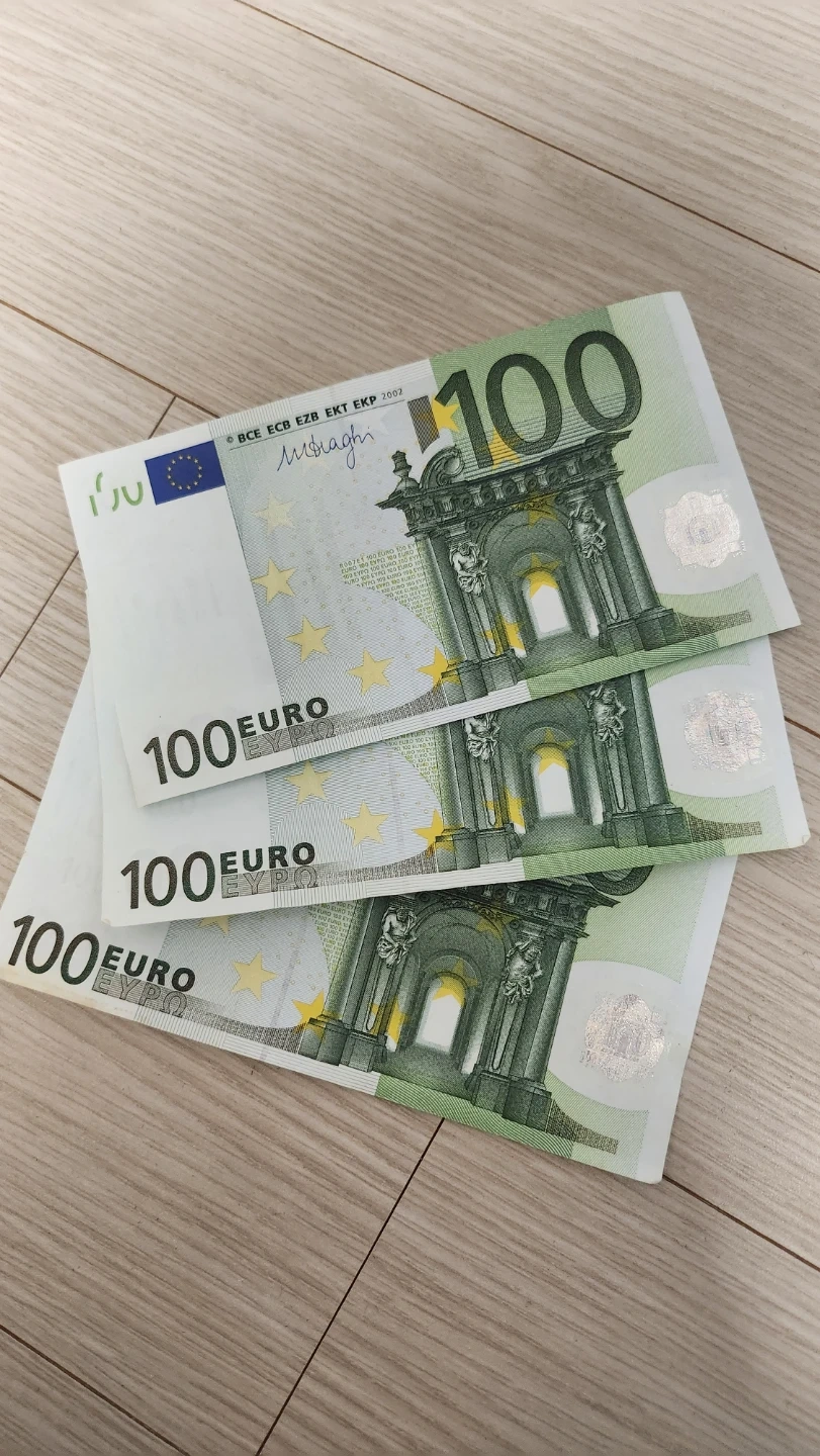 100유로 지폐 3장 | 취미/게임/음반 | 당근 중고거래