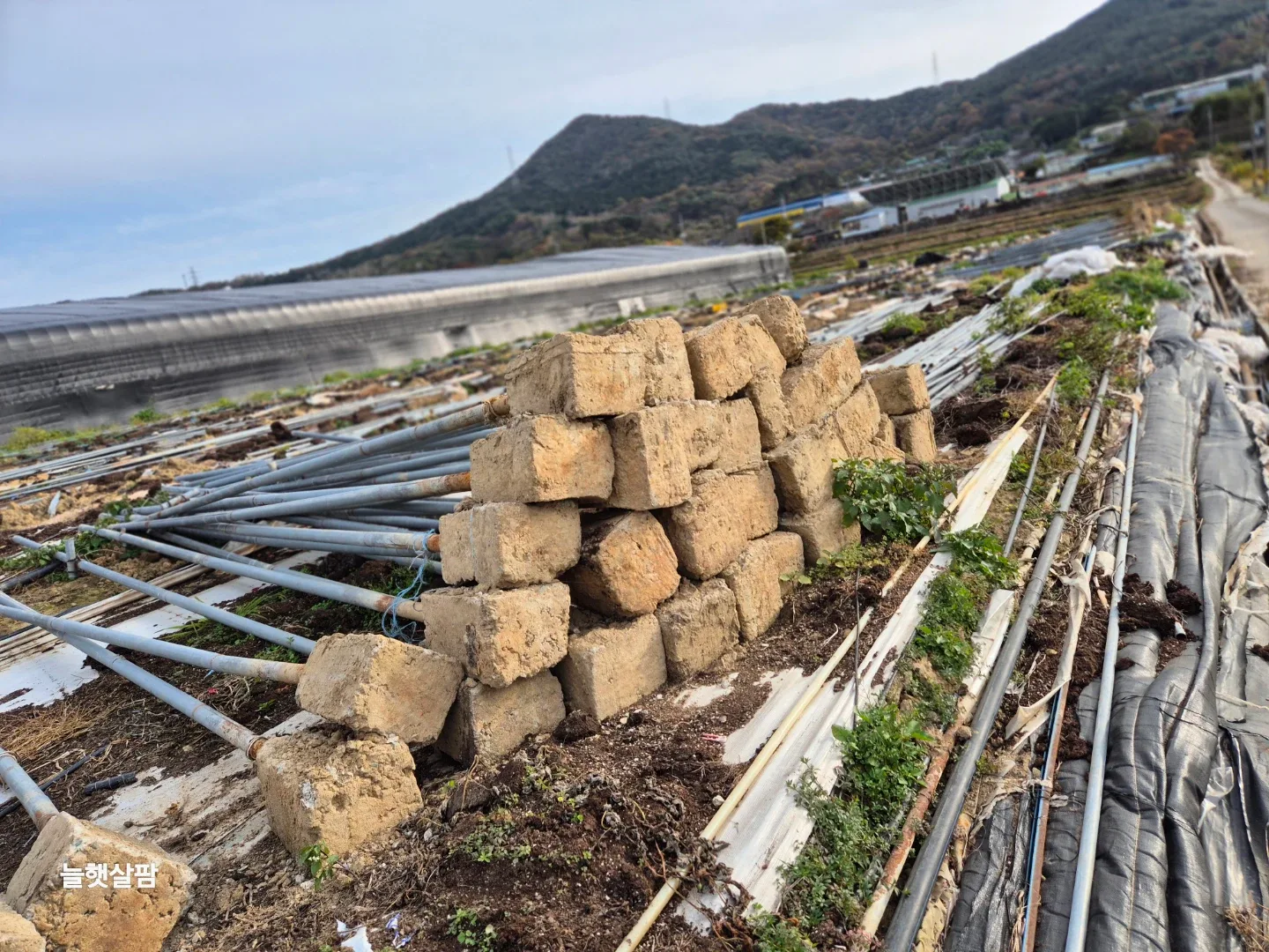 하우스 중고파이프