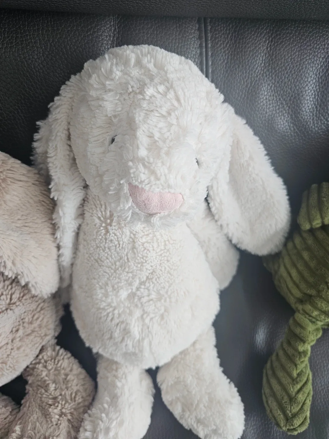 젤리캣 버니 m, 공룡