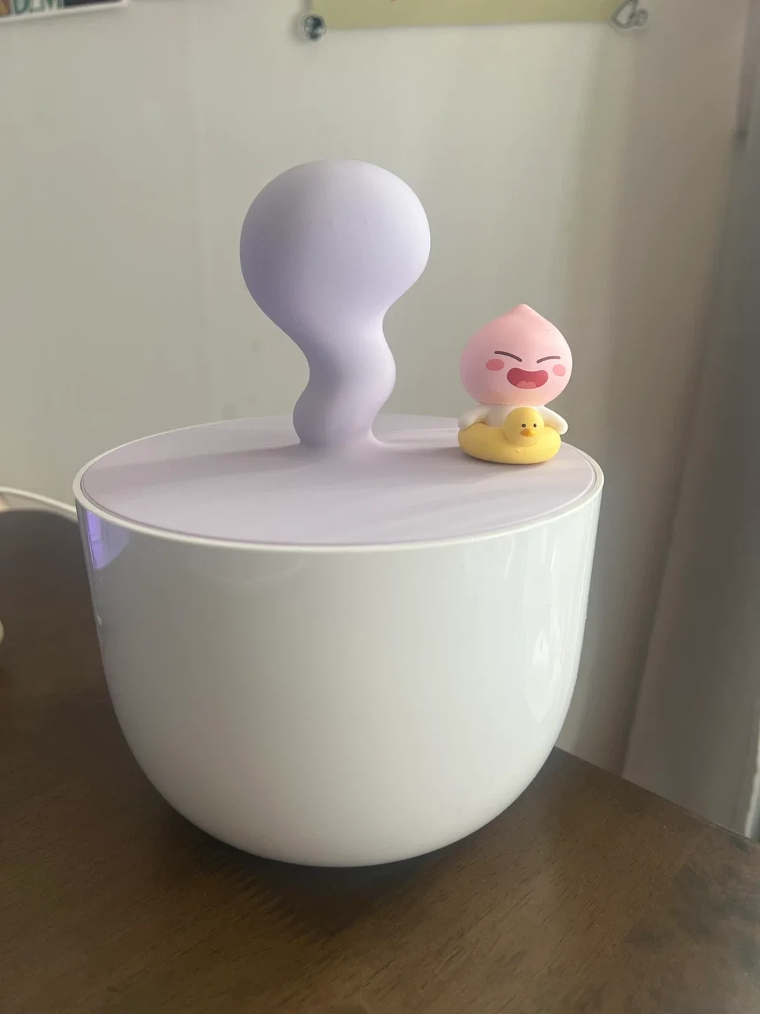 카카오 가습기