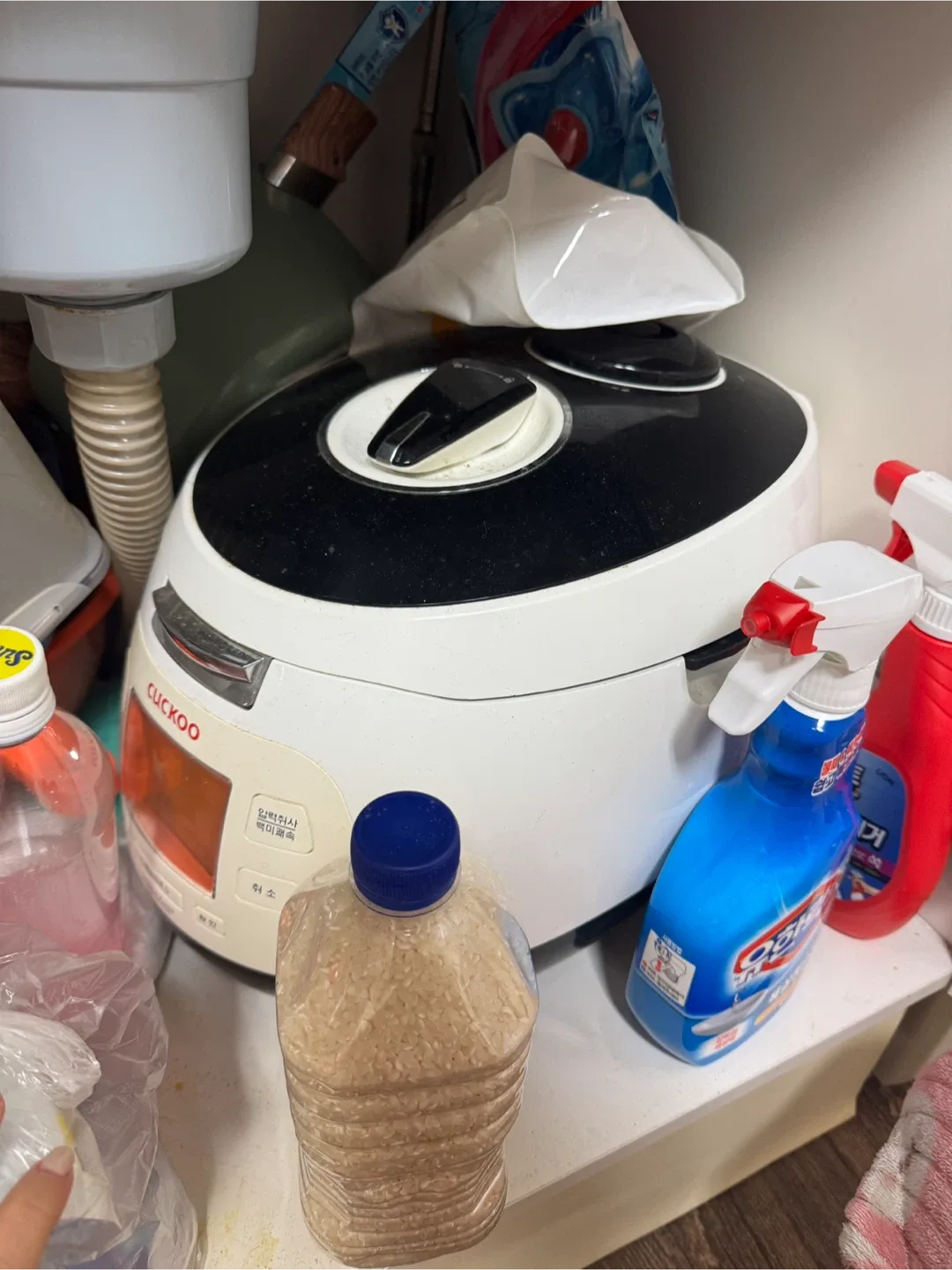 쿠쿠 밥솥+쌀