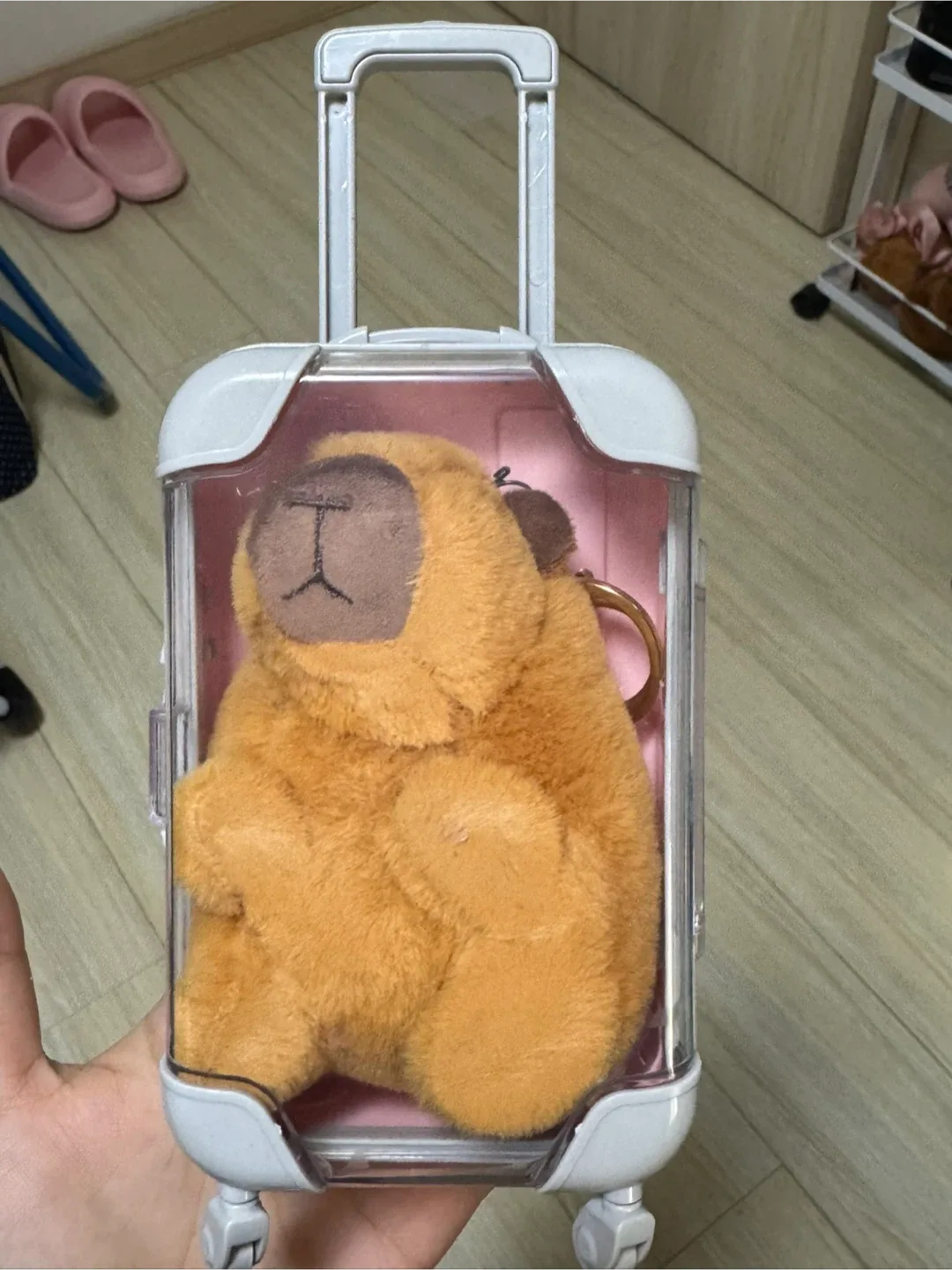 미니 캐리어-카피바라 인형 포함!