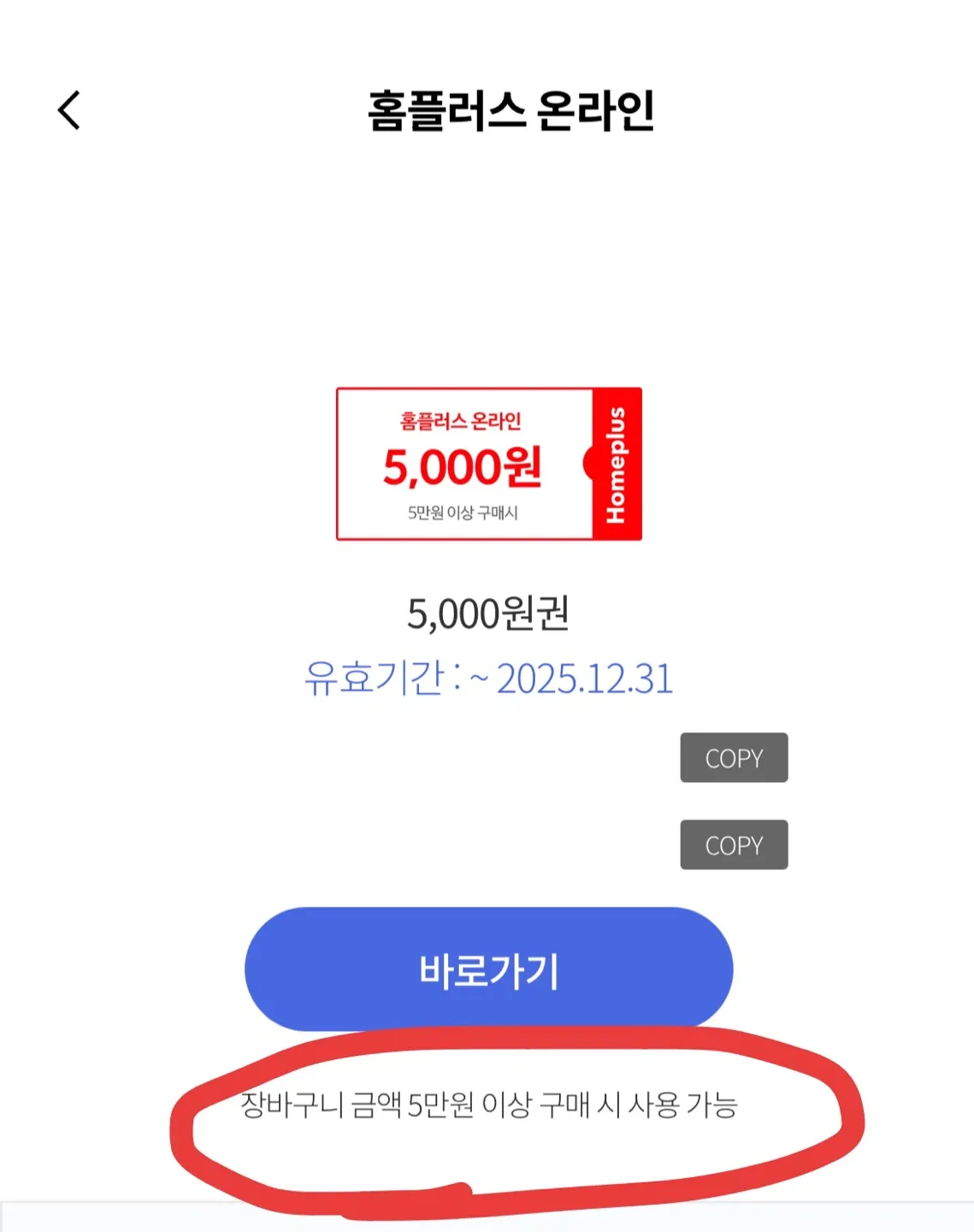 홈플러스 온라인 5천원 상품권