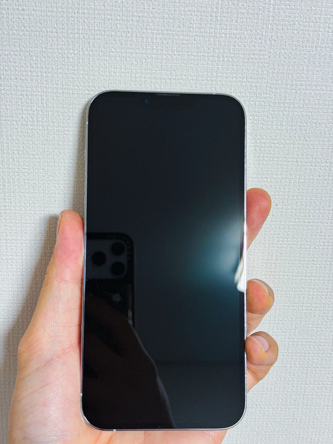 아이폰 13 프로맥스 256GB 실버 팝니다