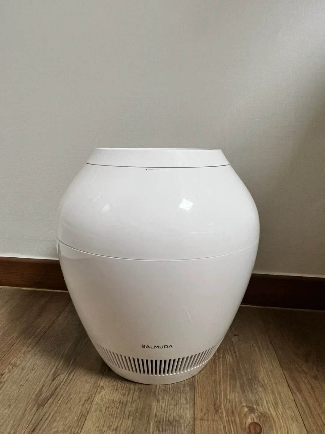 발뮤다 가습기 ERN-1100UA