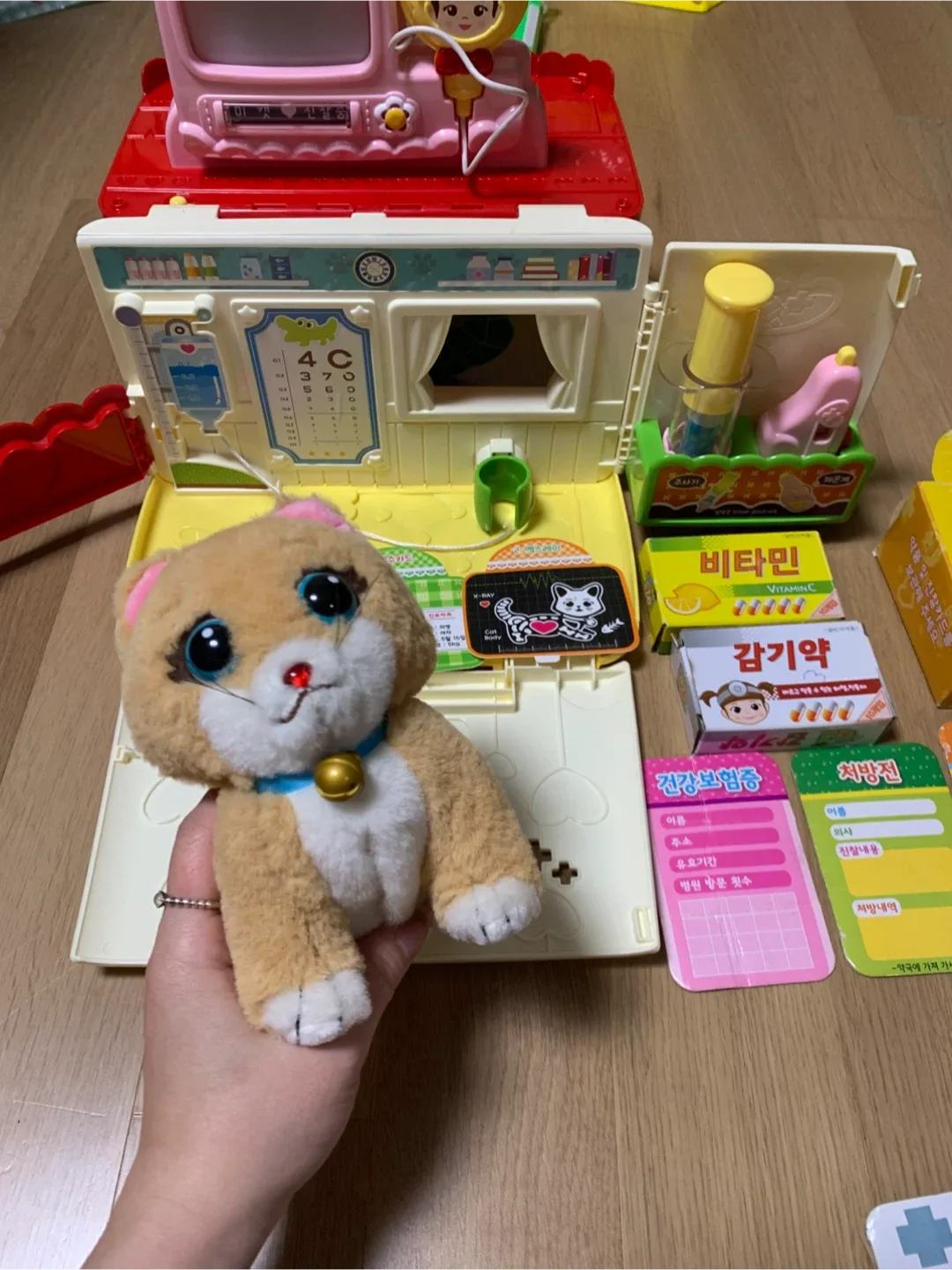 콩순이 동물병원