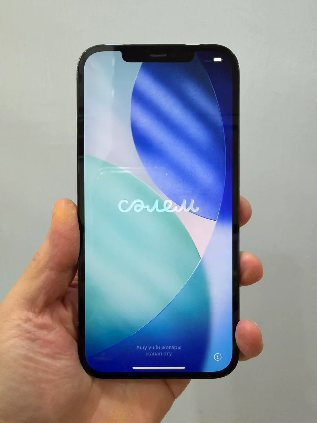아이폰 12 프로맥스 퍼시픽 블루 256GB