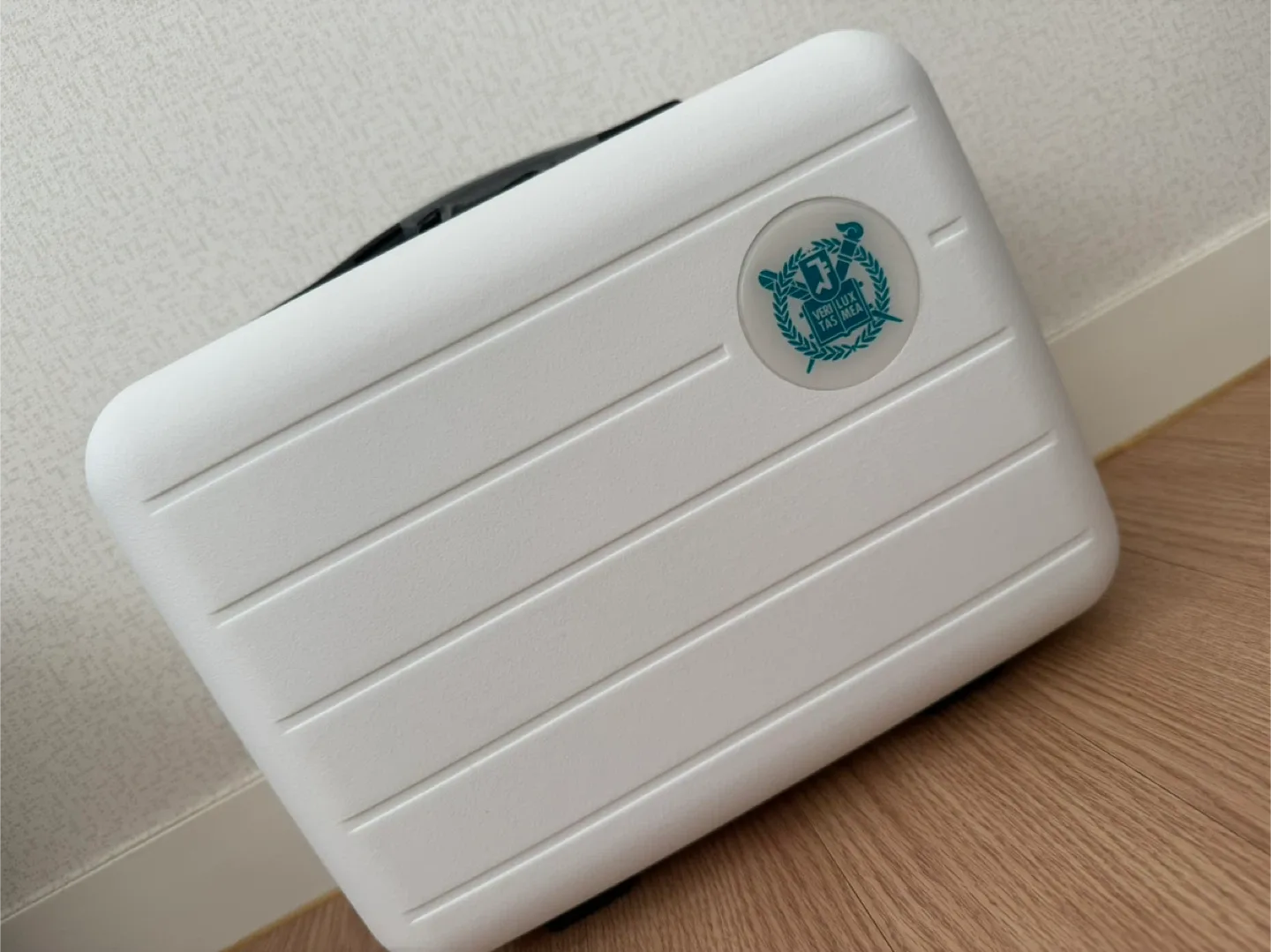 여행용 레디백(ready bag)