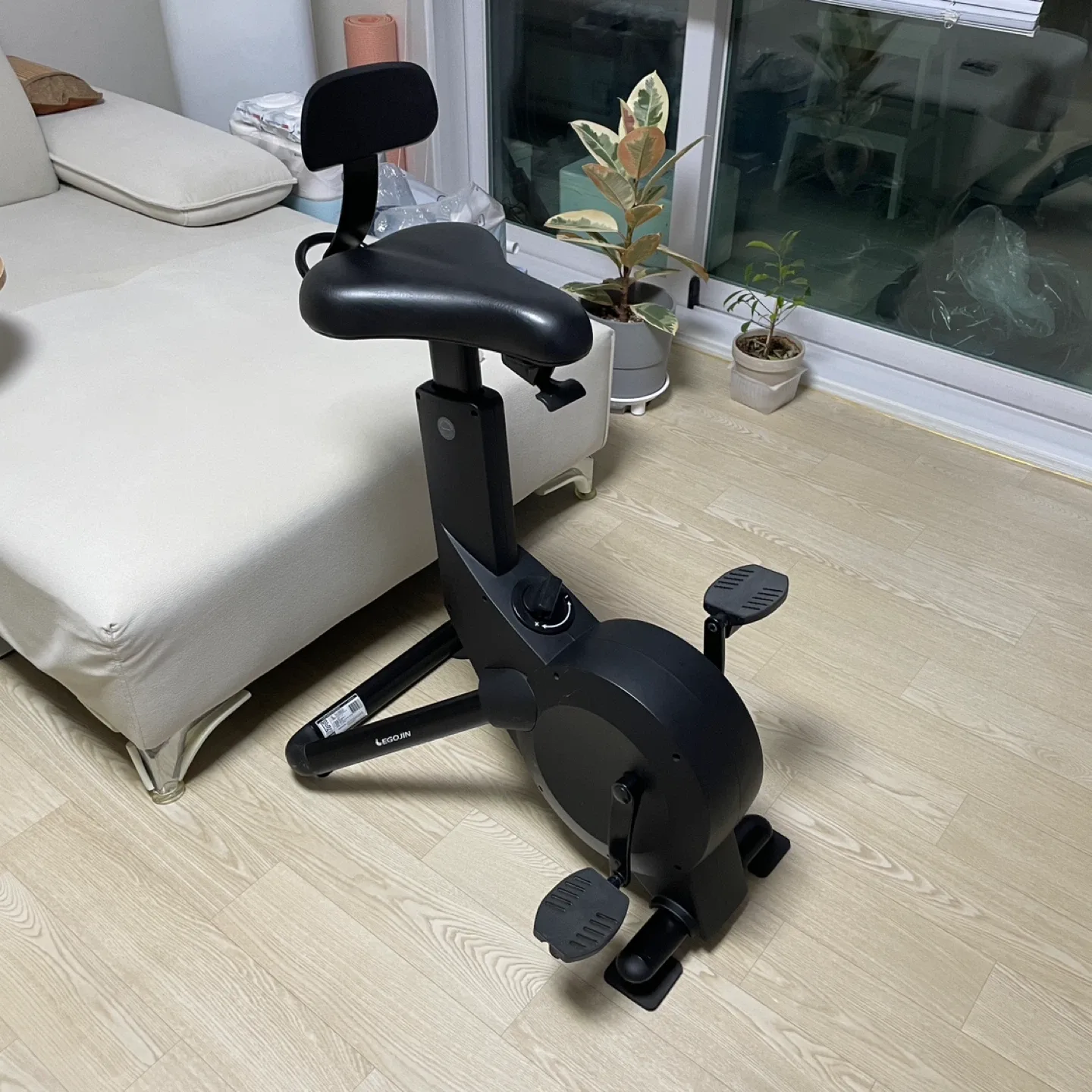 에고진 실내자전거