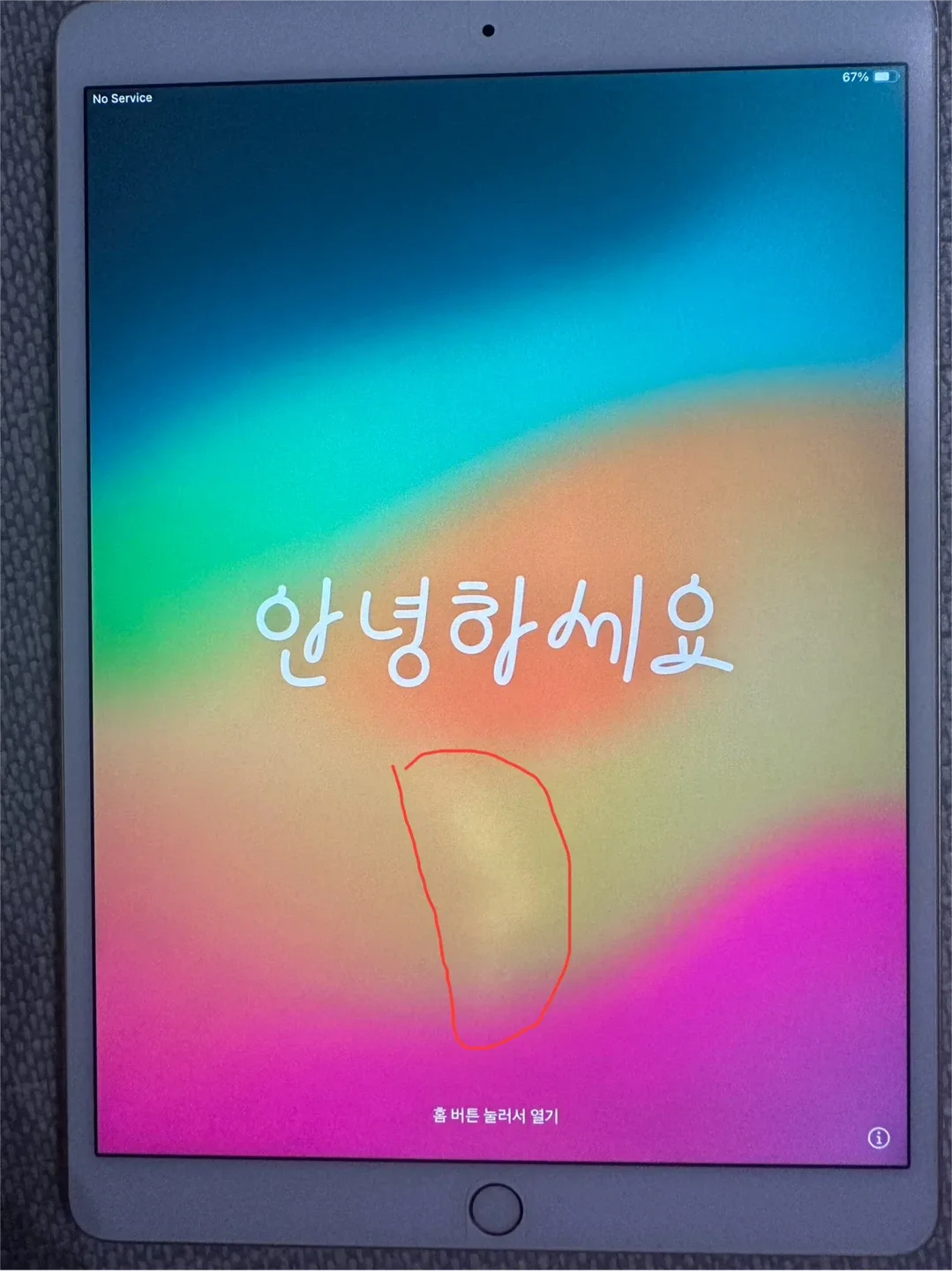 아이패드 프로 10.5인치 2세대 256GB 셀롤러 지원 + 애플펜슬 + 충전기(추가)