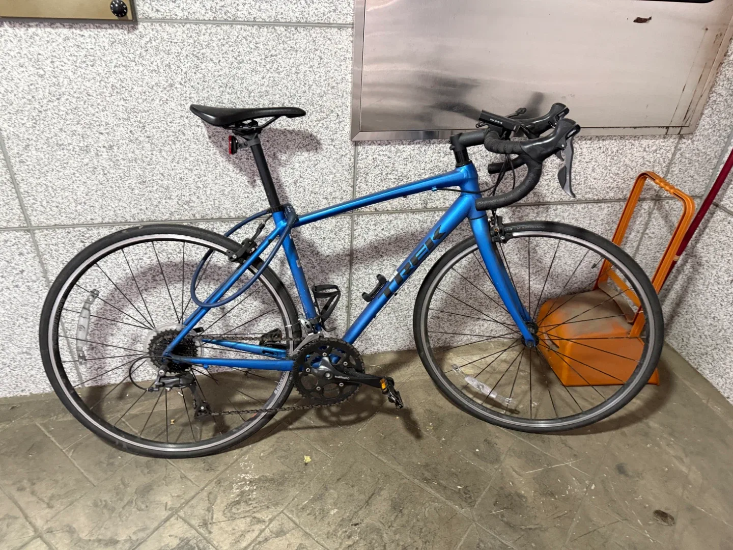 TREK 로드 자전거 파란색