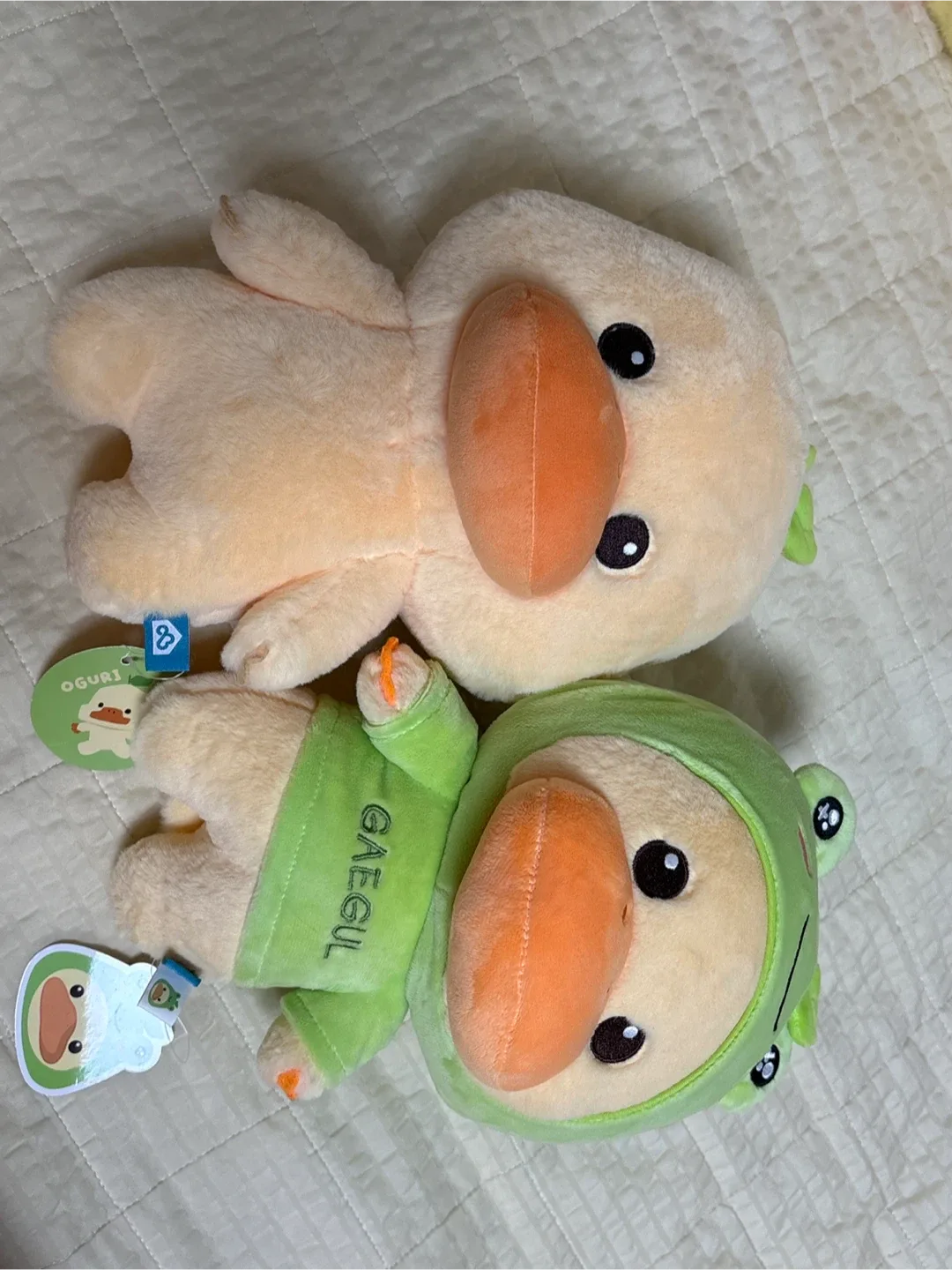 오구리 인형 세트 데리고가세용~