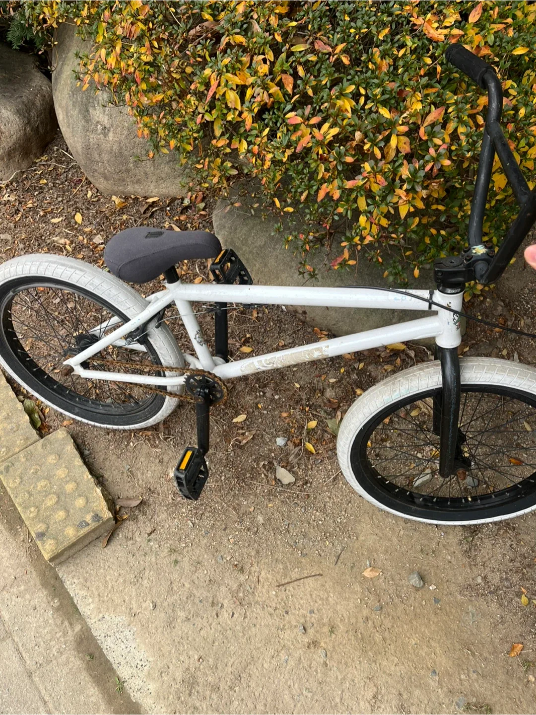커스텀 BMX 자전거