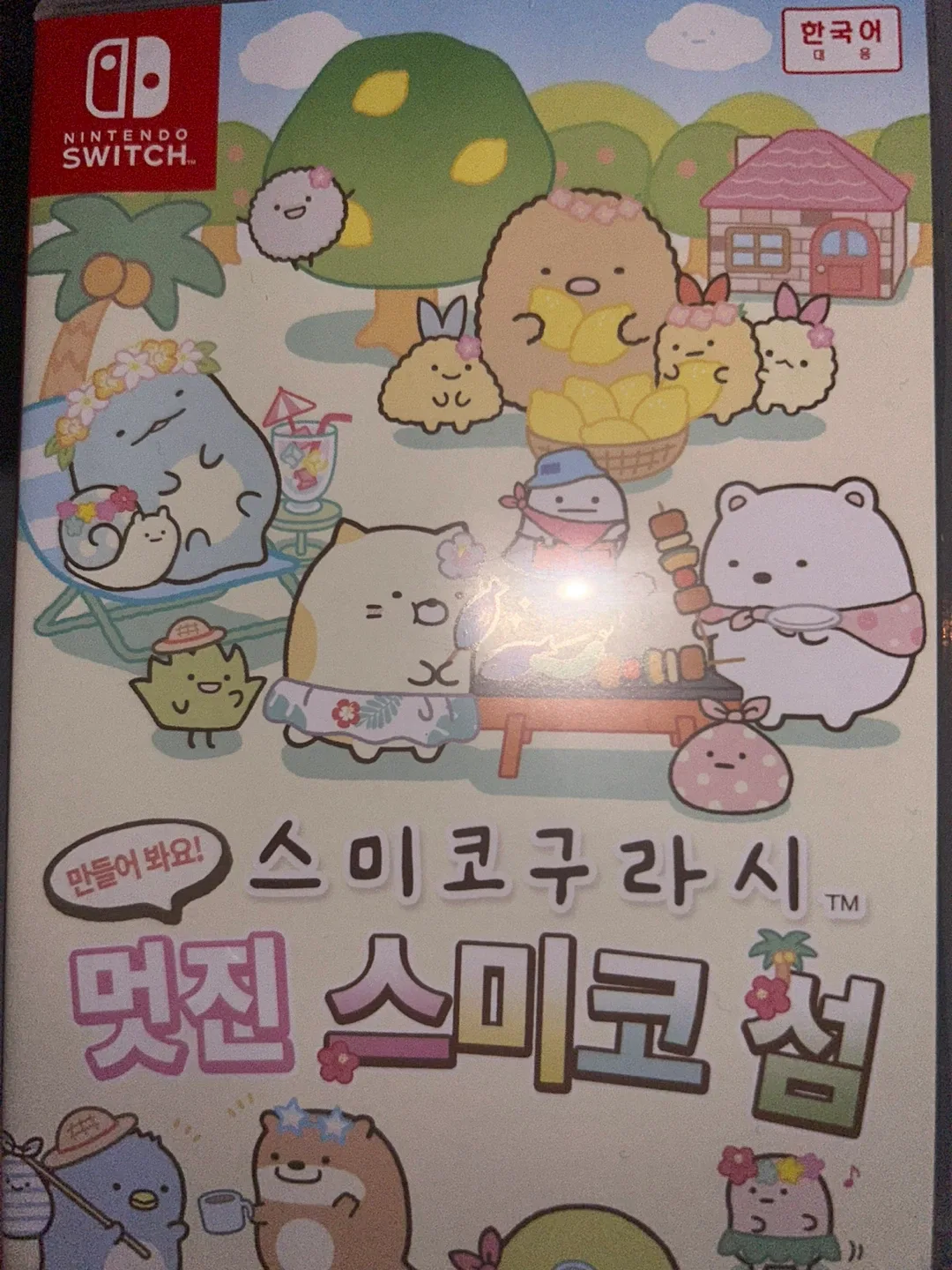 닌텐도 스위치 게임칩 만들어봐요 스미코구라시 멋진 스미코 섬