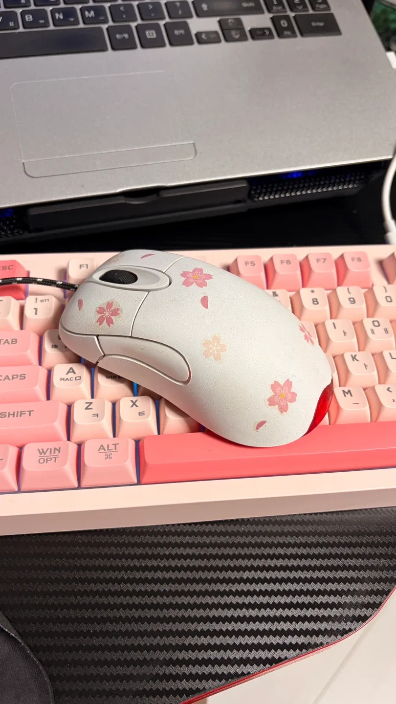 인옵1.1팝니다. 서든마우스