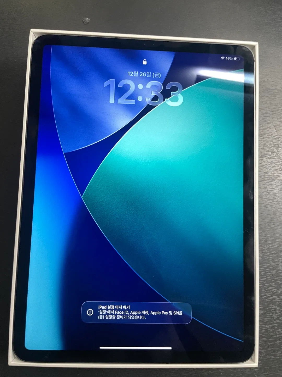 아이패드 프로 11인치 1세대 셀룰러 64Gb