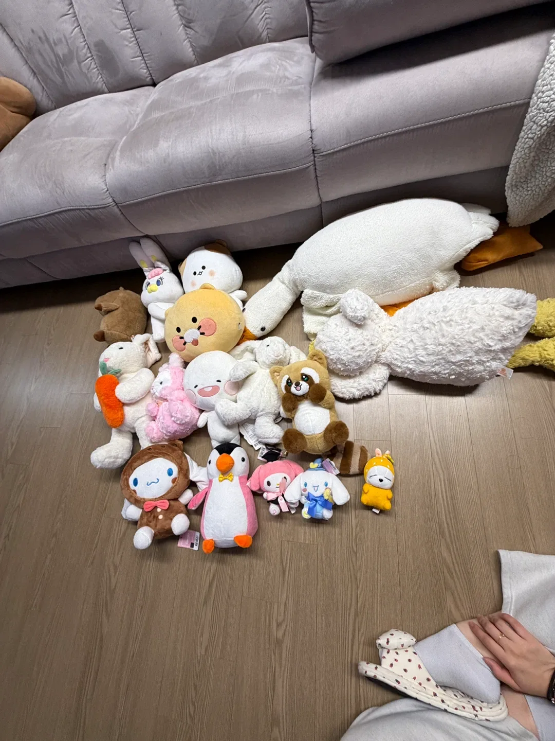 인형 모음 (젤리캣 버니, 시나모롤 외)