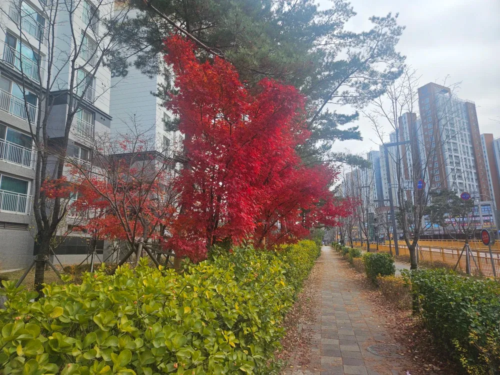현대상품권 10만원을 이마트 상품권이랑 교환원합니다