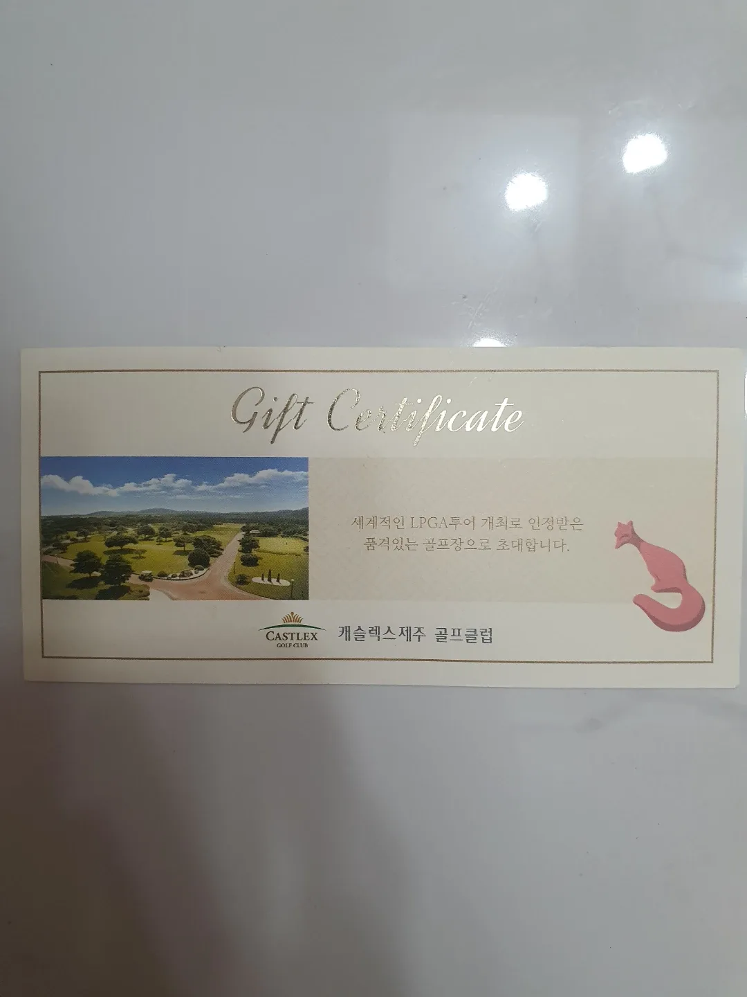 캐슬렉스 제주 골프클럽 상품권