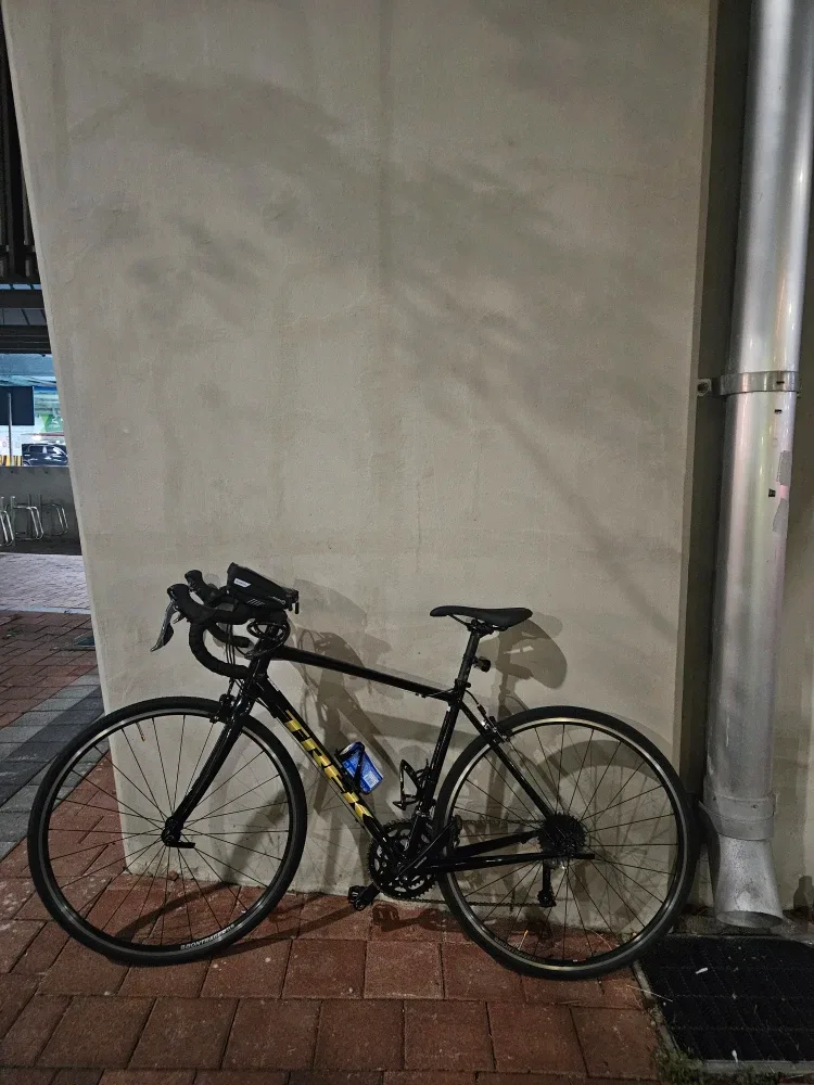 (거의새거)트렉 AL2 로드 자전거 20km탐