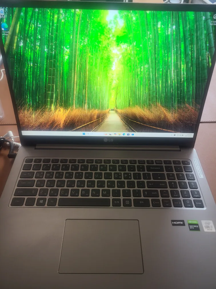 Lg 게이밍 노트북 17u70n