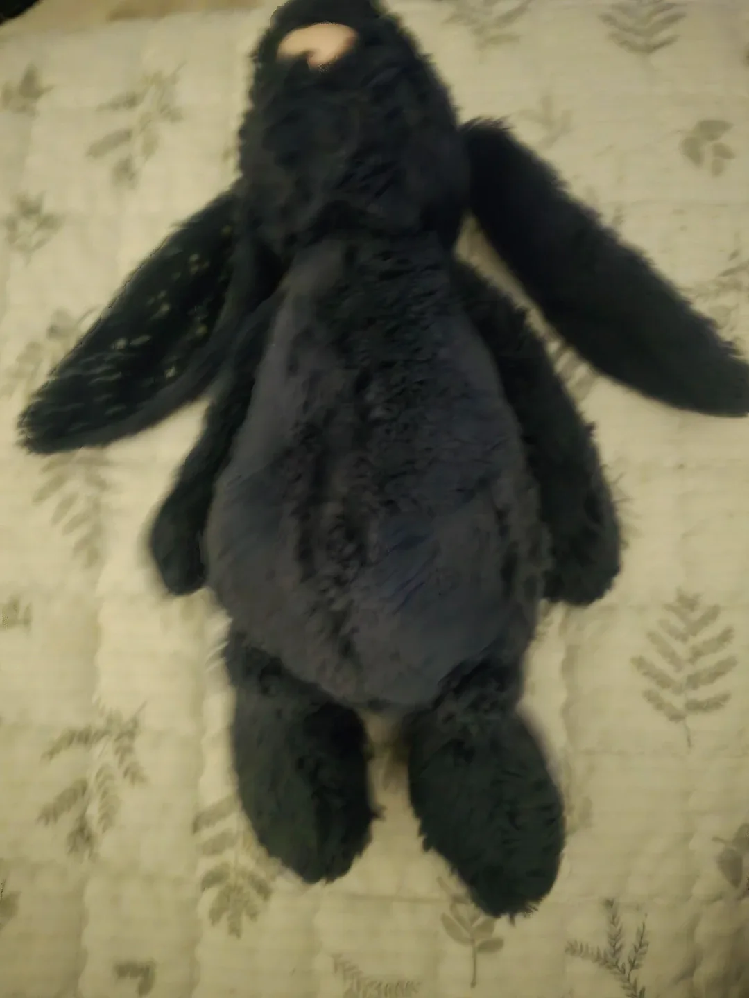 젤리캣 버니 잉키 M