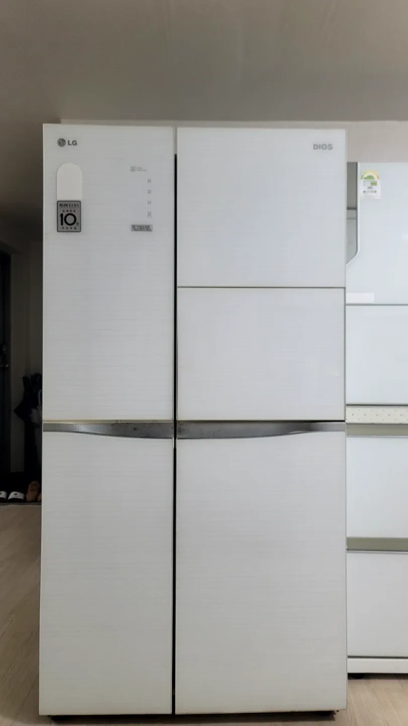 LG DIOS 냉장고 825L