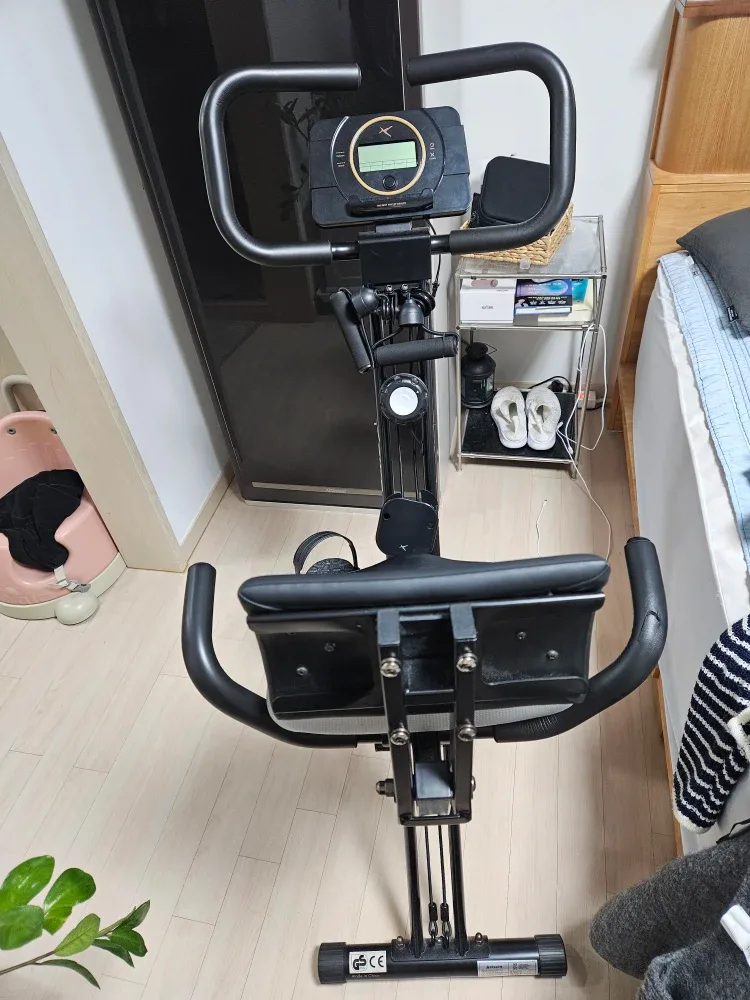 숀리 X-Bike (X10)실내 자전거