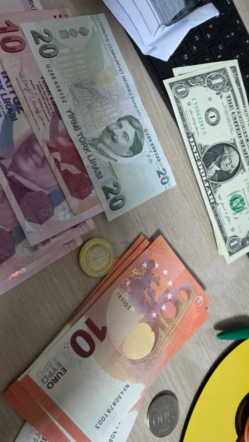 터키 리라 631리라 달러 20 유로 100 | 티켓/교환권 | 당근 중고거래