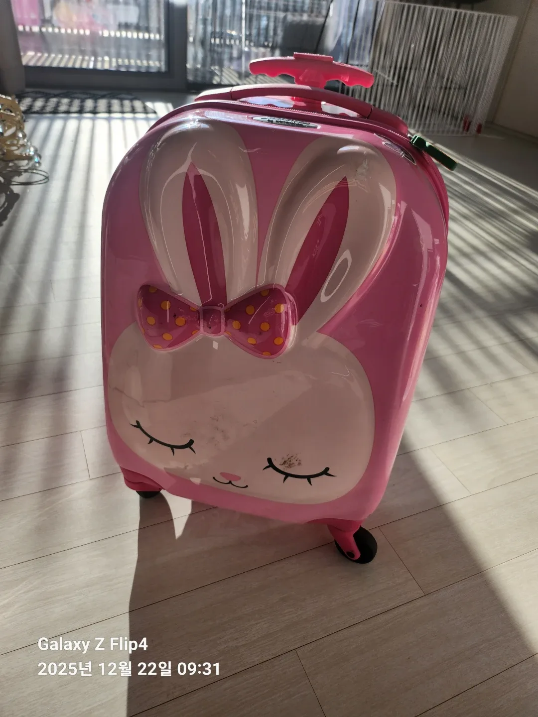 샘소나이트 아동용 토끼 캐리어