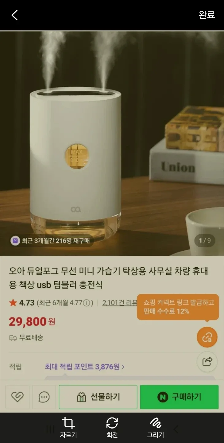 오아 듀얼포그 미니 가습기