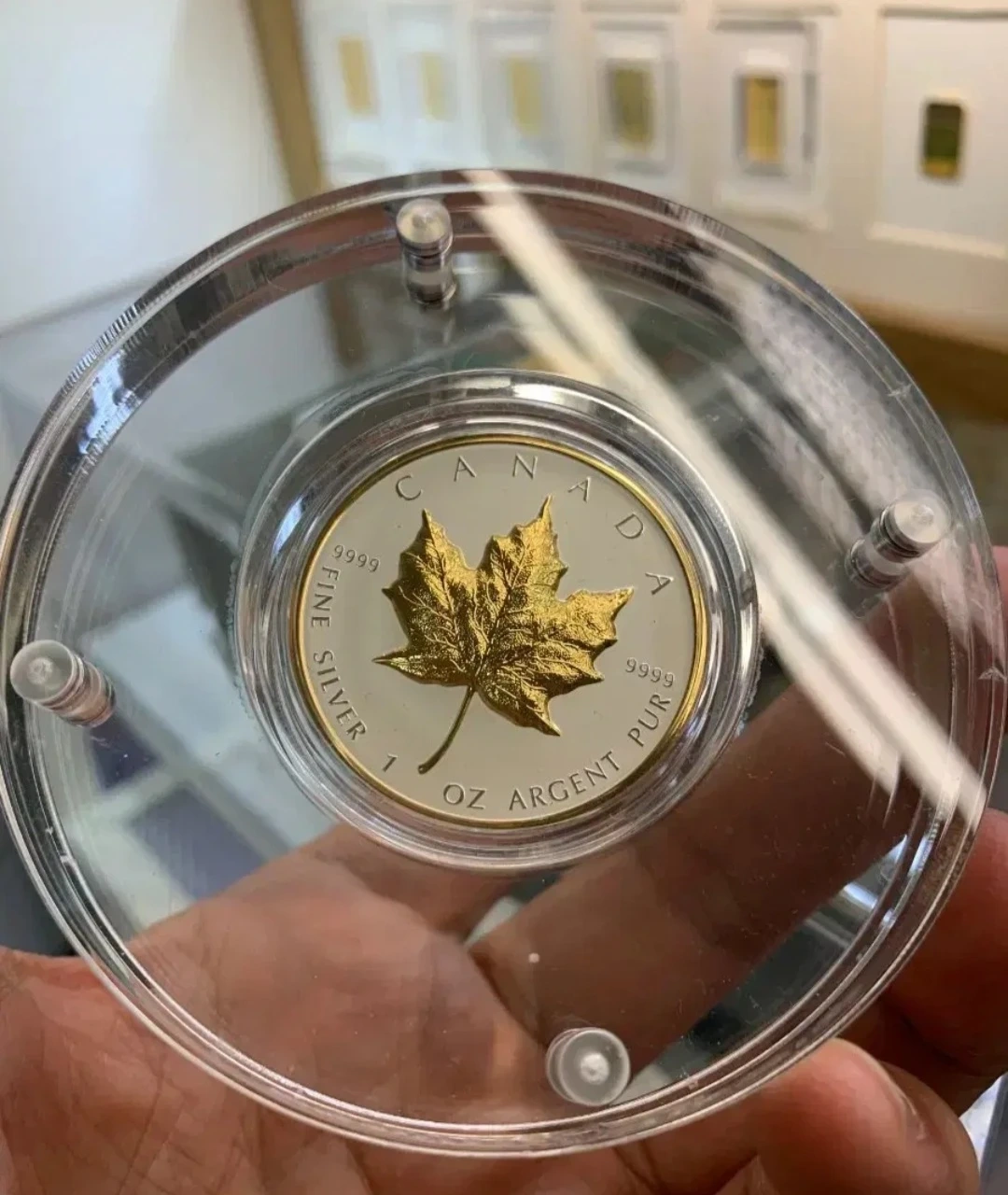 캐나다 메이플 골드 실버 코인 | 취미/게임/음반 | 당근 중고거래
