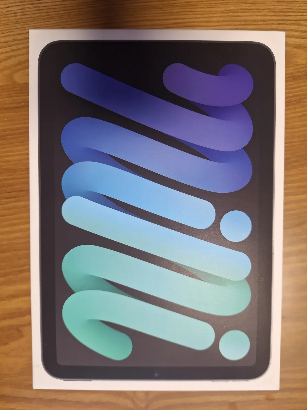 iPad mini 7 셀룰러 팝니다!