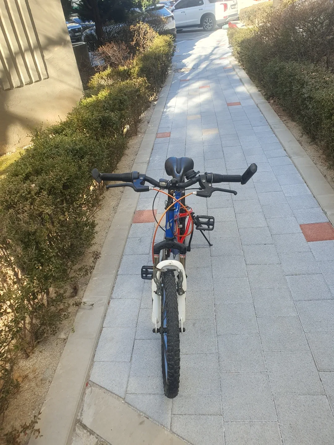 드래곤 20인치 아동용 mtb자전거