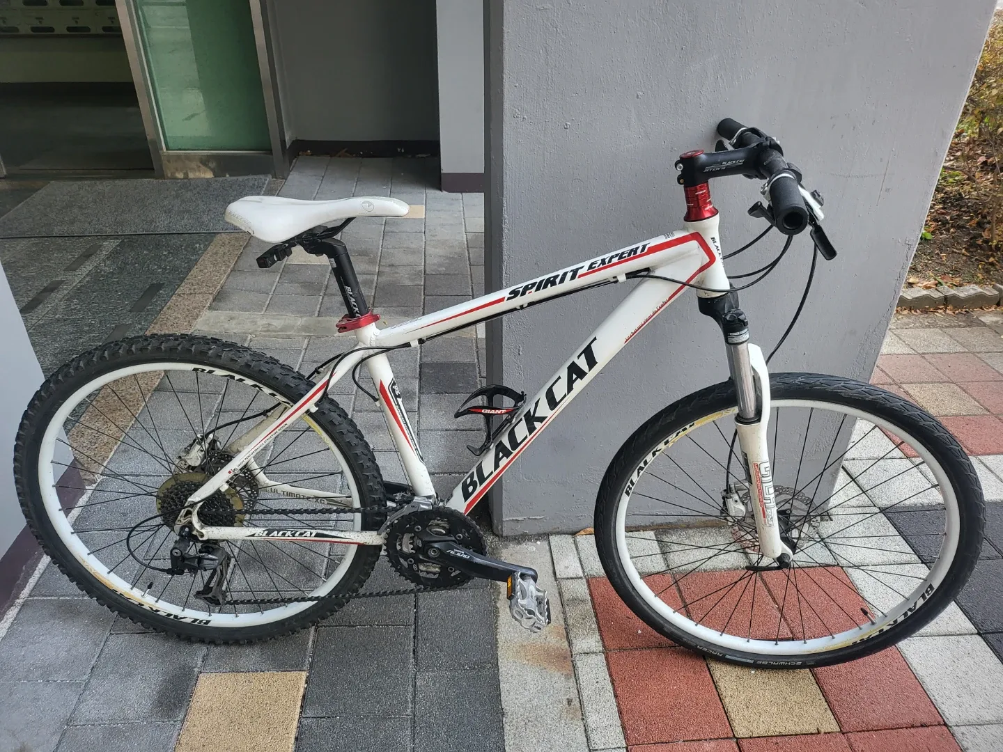 블랙캣 스피릿 엑스퍼트 MTB 자전거 26인치