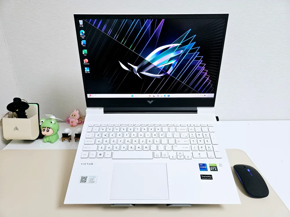 빅터스 게이밍 노트북 (화이트) RTX3050ti / 포토샵, 영상편집