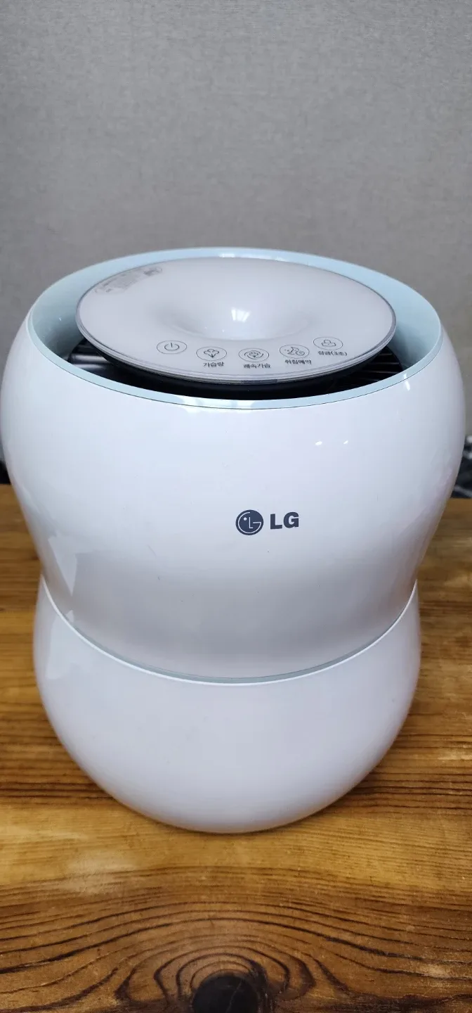 LG 퓨리케어 자연기화 가습기