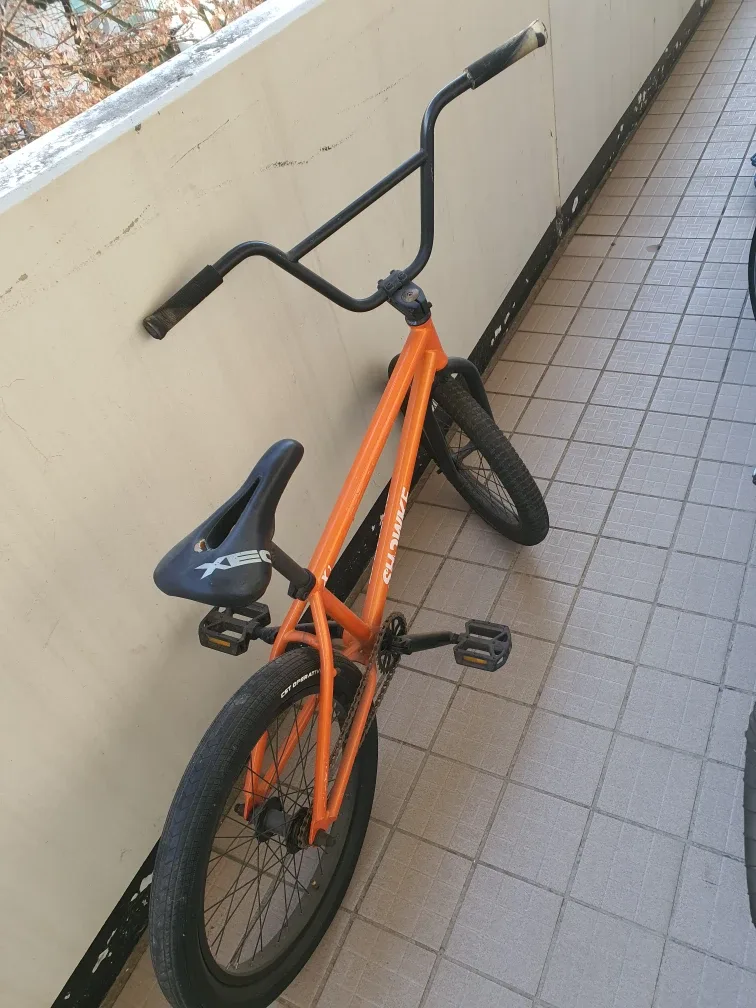 Sunday BMX 자전거