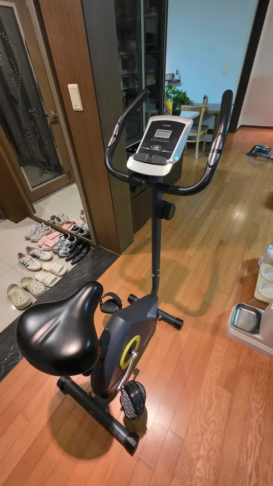 이고진 실내자전거