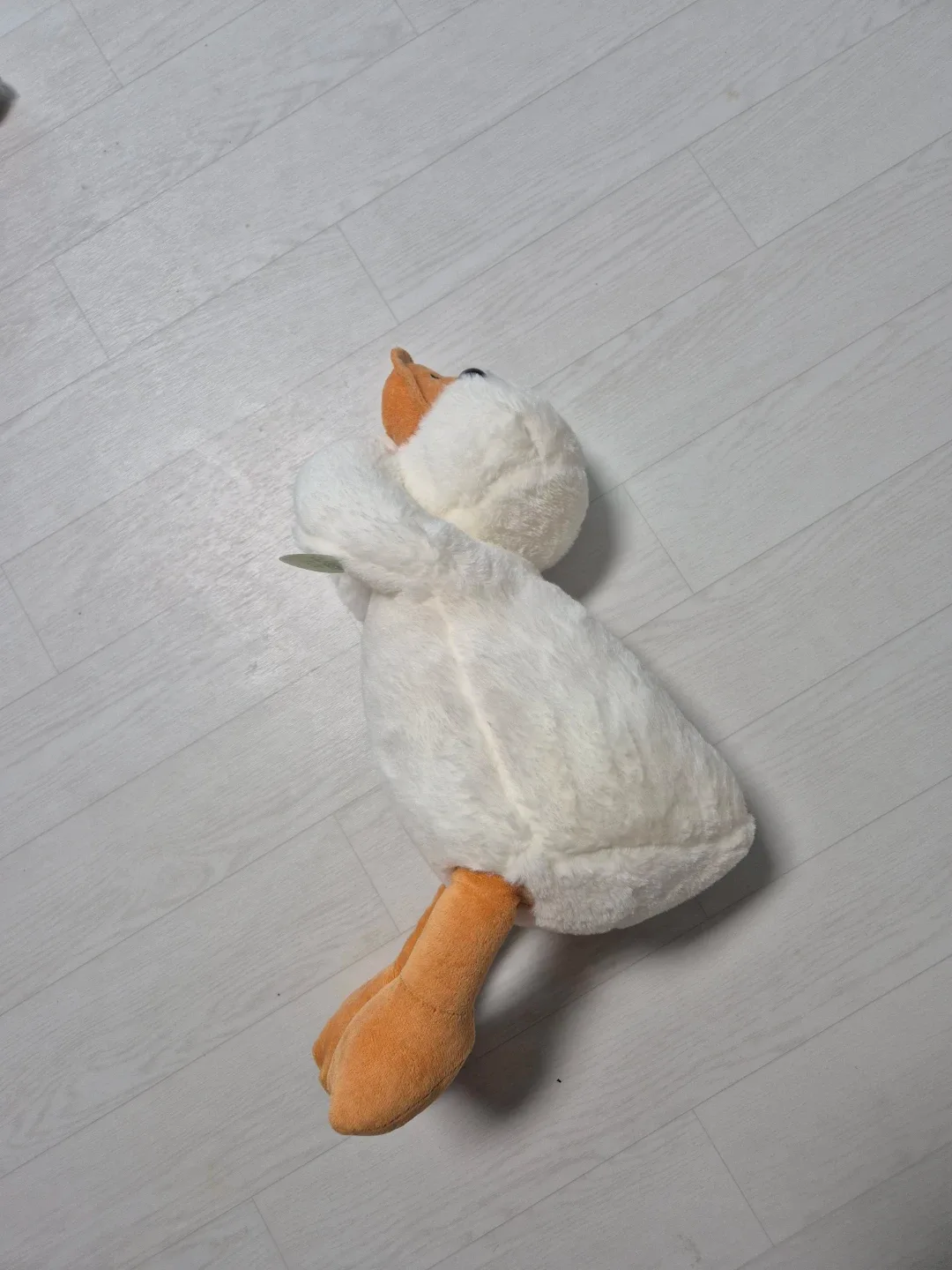 아가들이좋아하는 오리인형
